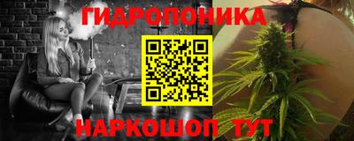 Альфа ПВП Краснознаменск
