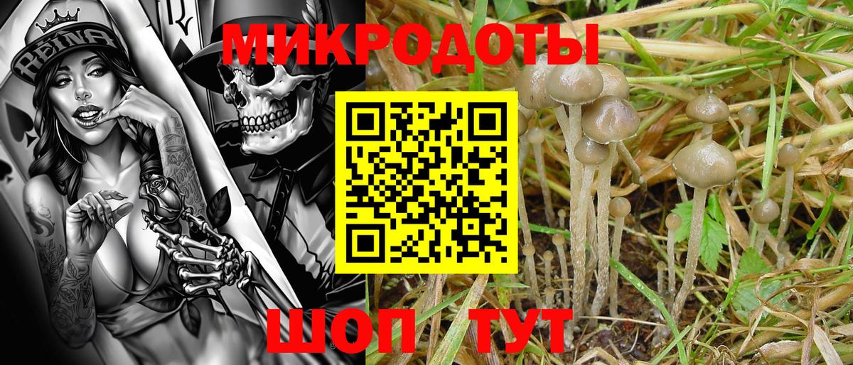 купить наркотик  Псилоцибиновые грибы ЛСД  Касимов  Вход с VPN  Псилоцибиновые грибы мухоморы 