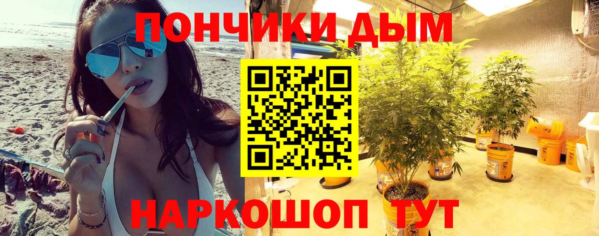 Бошки марихуана индика  Шишки марихуана VHQ  Конопля семена  Вход с VPN  Касимов  МАРИХУАНА гибрид 